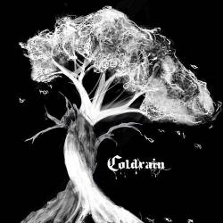 Coldrain (USA) : Walking with the Forgotten